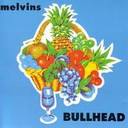 Melvins Its Shoved lyrics 