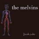 Melvins Inner ear rupture lyrics 