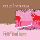 Melvins The Fool, The Meddling Idiot lyrics 