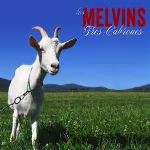 Melvins American cow lyrics 