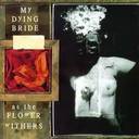 My Dying Bride - As The Flower Withers lyrics
